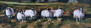 The Wool Pack