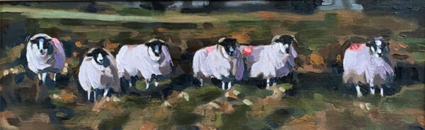 The Wool Pack