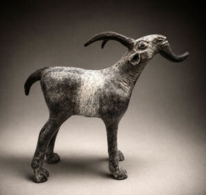 ‘Fionn’ Goat